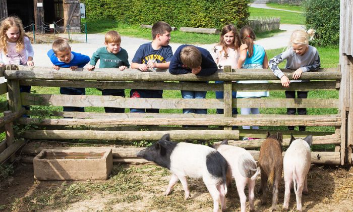 Osterferienprogramm im LVR-Freilichtmuseum Lindlar © LVR-ZMB